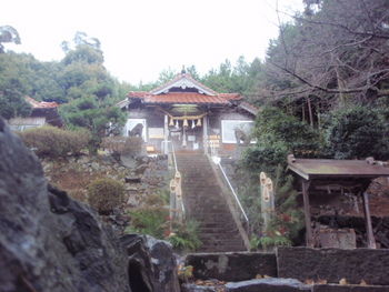 益田市の佐毘売山神社(今年2009年の正月に撮影)