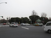 IMG_2351_1