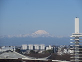 IMG_2668_1