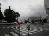 IMG_4666_1