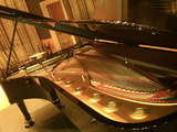 4f721ede.jpg