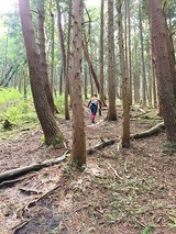 s-IMG_2354