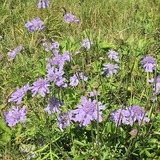 s-IMG_2402