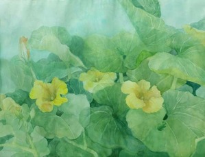 222かぼちゃの花