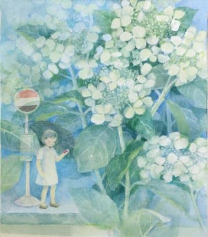 248色の無い七陽花(紫陽花)-1-