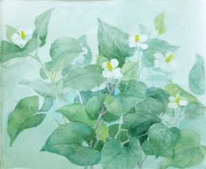 218どくだみの花