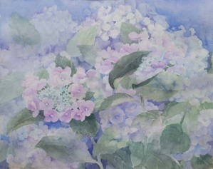 220紫陽花