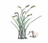 60夕菅