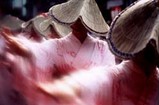 風の盆