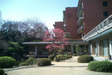 国際10