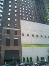 NY42