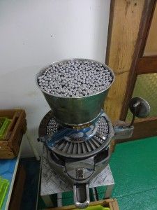 DSC01503