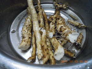 DSCN3062