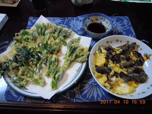 DSCN2363