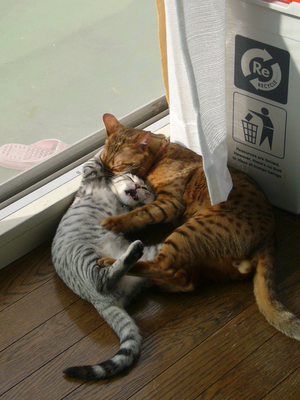 kaka&nico_1020750