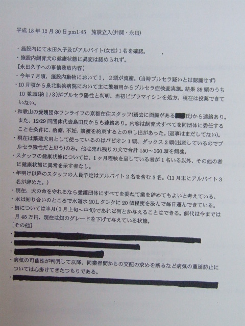 osaka4