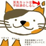 9712049e.gif