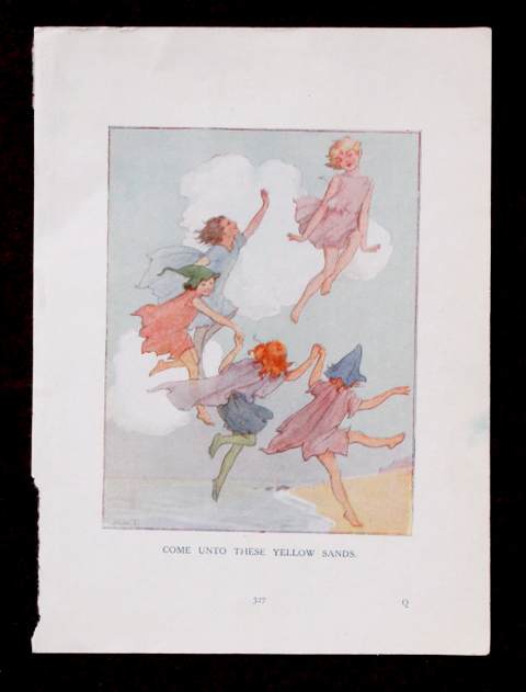 tarrant print1
