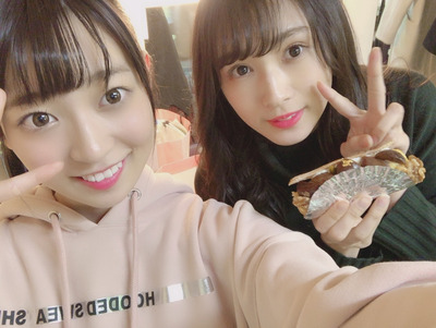 Screenshot_2019-02-20