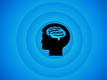 brain-494152__340