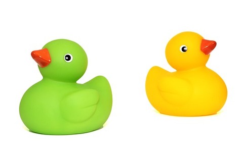 ducks-452485__340