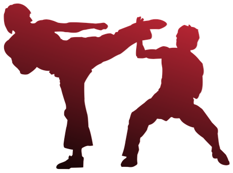 karate-971341__340