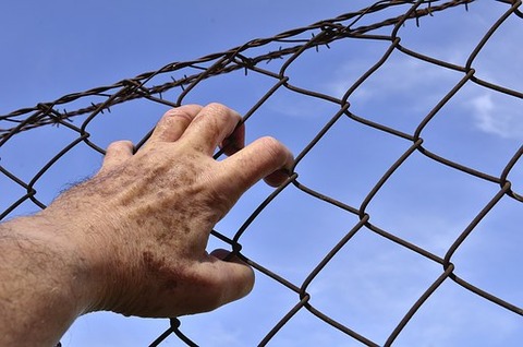 barbed-wire-1408454__340