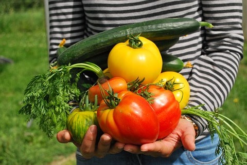 vegetables-742095__340