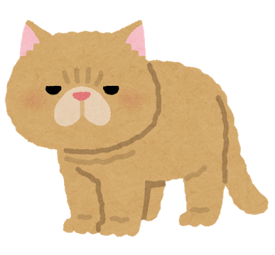 cat_exotic_shorthair