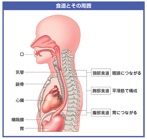 1_1_0_fig1