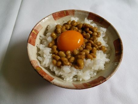 ce4ff893a6c00e9a05c566fa209901c3_t
