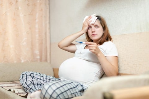 shutterstock_127596956-480x320