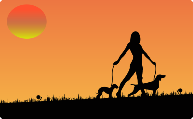 犬を飼う