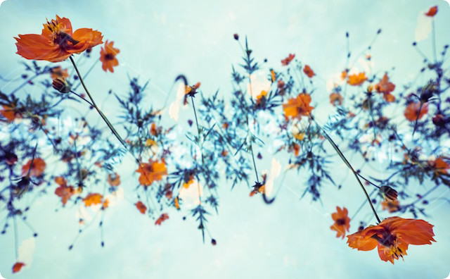 花