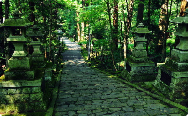 怖い道