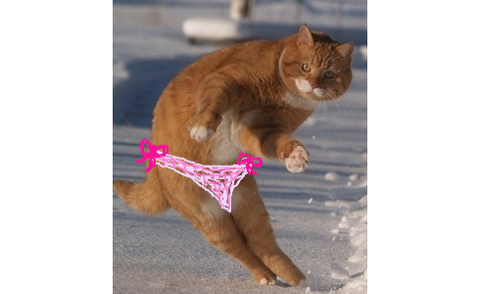 【パンツ】