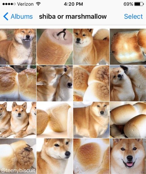 脳みそ大混乱4