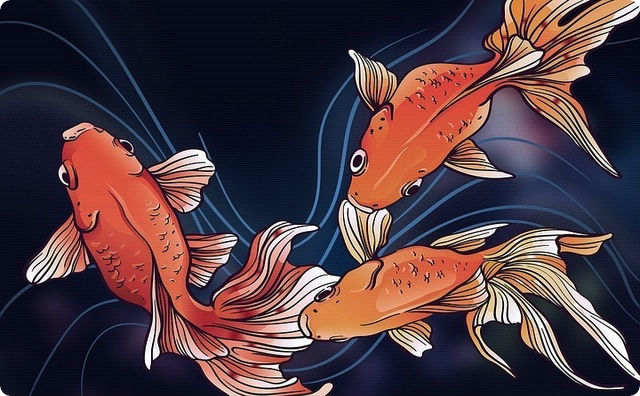 金魚