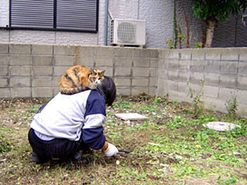 【ねこ】