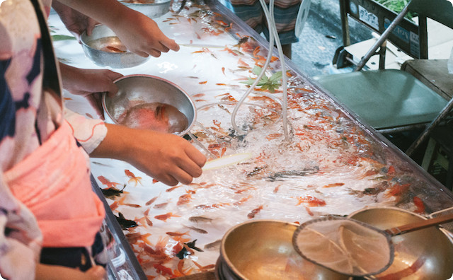金魚すくい