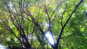 �油���̿���vol��52��2011/8/16