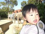 zou