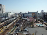 b2bc54b9.jpg