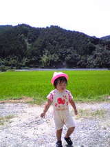 c1039491.jpg