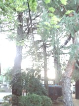 055bd7f6.jpg