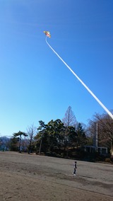 084705ae.jpg