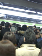 0850c427.jpg