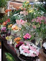 0a086a38.jpg