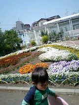 0c8a3616.jpg