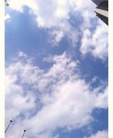 18a5ab06.jpg